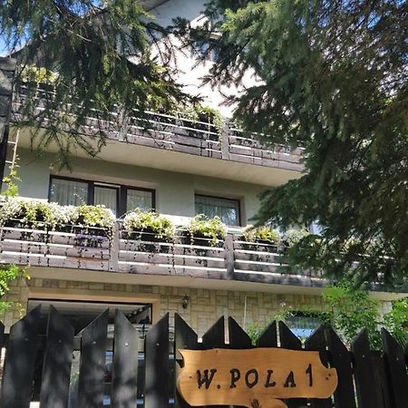 Pokoje Goscinne U Gochy Ustrzyki Dolne Kültér fotó