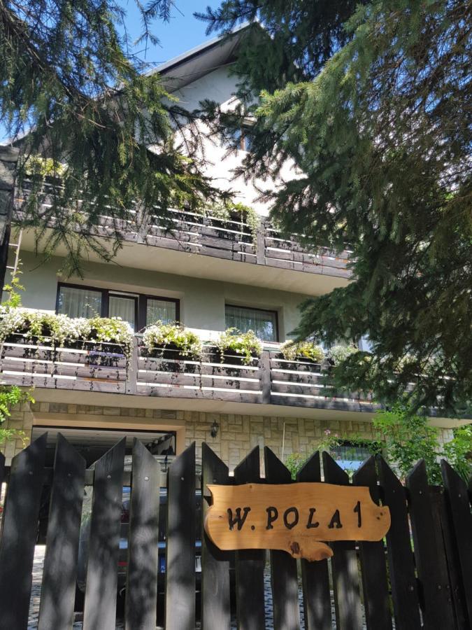 Pokoje Goscinne U Gochy Ustrzyki Dolne Kültér fotó