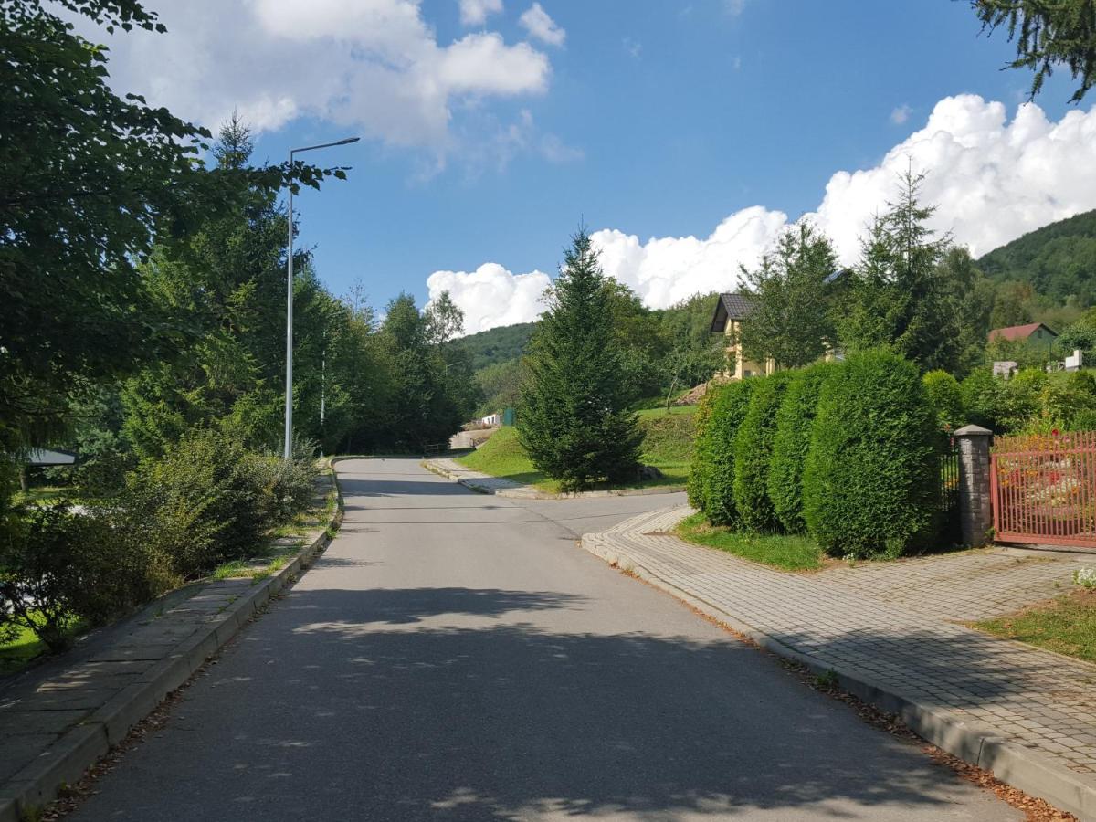Pokoje Goscinne U Gochy Ustrzyki Dolne Kültér fotó